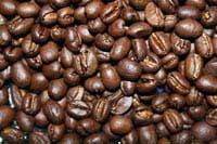 TANZANIAN PEABERRY COFFEE BEANS
